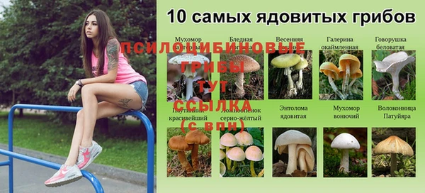 амф Белокуриха