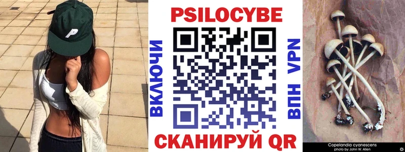 Псилоцибиновые грибы прущие грибы  Купино 
